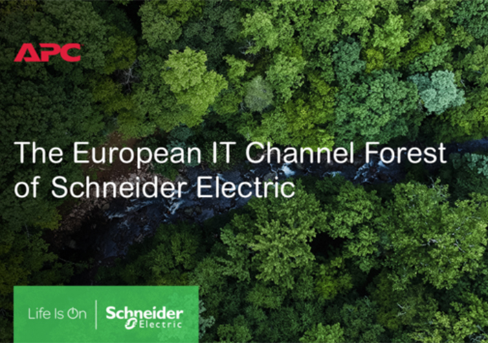 foto noticia Schneider Electric y los proveedores de IT plantan miles de árboles en Europa para compensar el impacto mediomabiental del European Partner Summit.